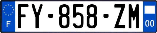 FY-858-ZM