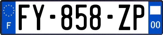 FY-858-ZP