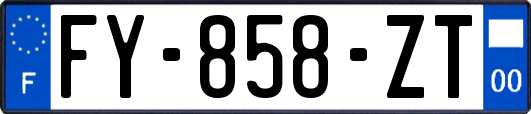 FY-858-ZT