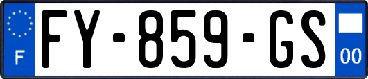 FY-859-GS