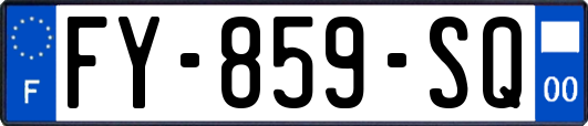 FY-859-SQ