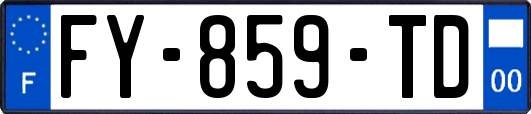 FY-859-TD
