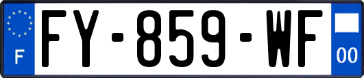 FY-859-WF