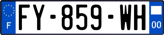 FY-859-WH