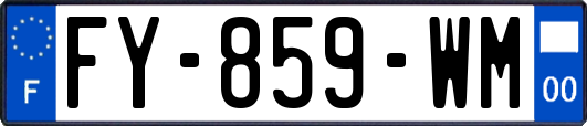 FY-859-WM