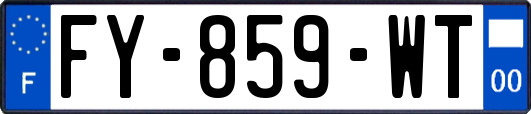 FY-859-WT