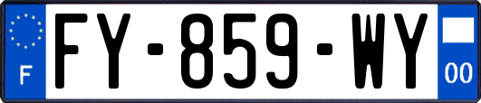 FY-859-WY