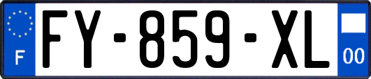 FY-859-XL