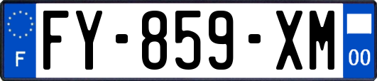 FY-859-XM