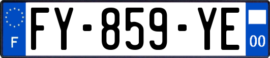 FY-859-YE