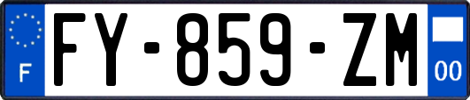FY-859-ZM