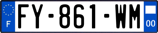 FY-861-WM