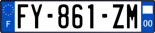 FY-861-ZM