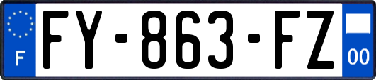 FY-863-FZ