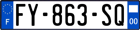 FY-863-SQ