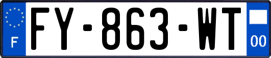 FY-863-WT