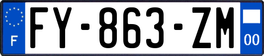 FY-863-ZM