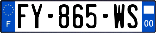 FY-865-WS