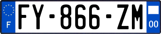 FY-866-ZM