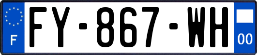 FY-867-WH