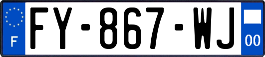 FY-867-WJ