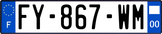 FY-867-WM