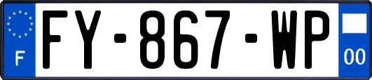 FY-867-WP