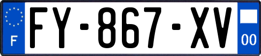 FY-867-XV