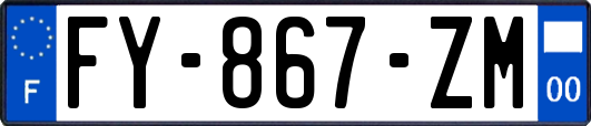 FY-867-ZM
