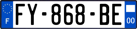 FY-868-BE