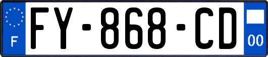 FY-868-CD