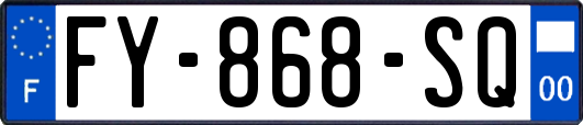 FY-868-SQ