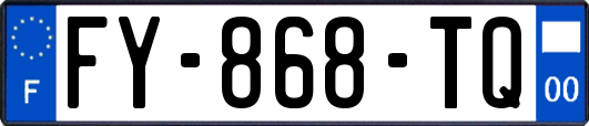 FY-868-TQ