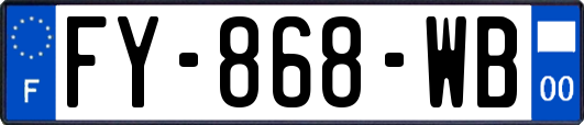 FY-868-WB