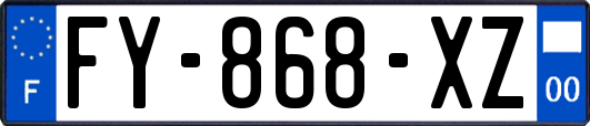 FY-868-XZ