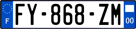 FY-868-ZM