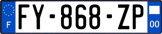 FY-868-ZP