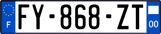 FY-868-ZT