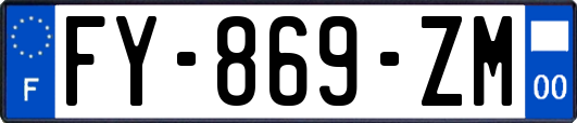FY-869-ZM