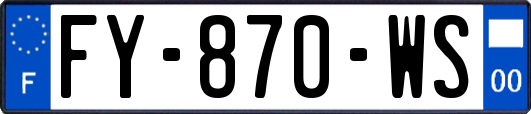 FY-870-WS