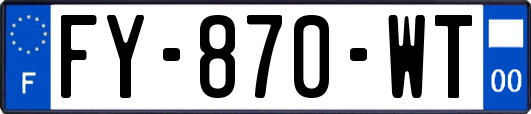 FY-870-WT