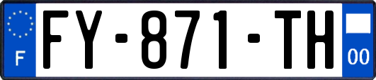 FY-871-TH