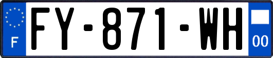 FY-871-WH