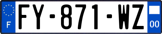 FY-871-WZ