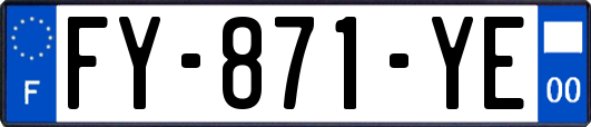 FY-871-YE