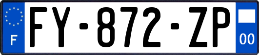 FY-872-ZP