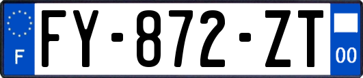 FY-872-ZT