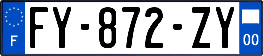 FY-872-ZY