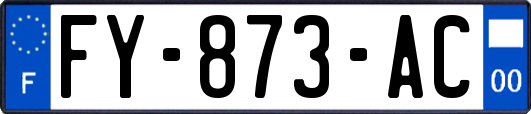 FY-873-AC