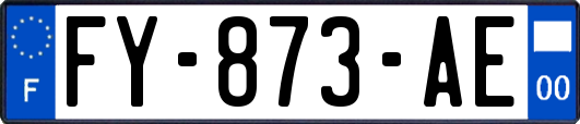 FY-873-AE